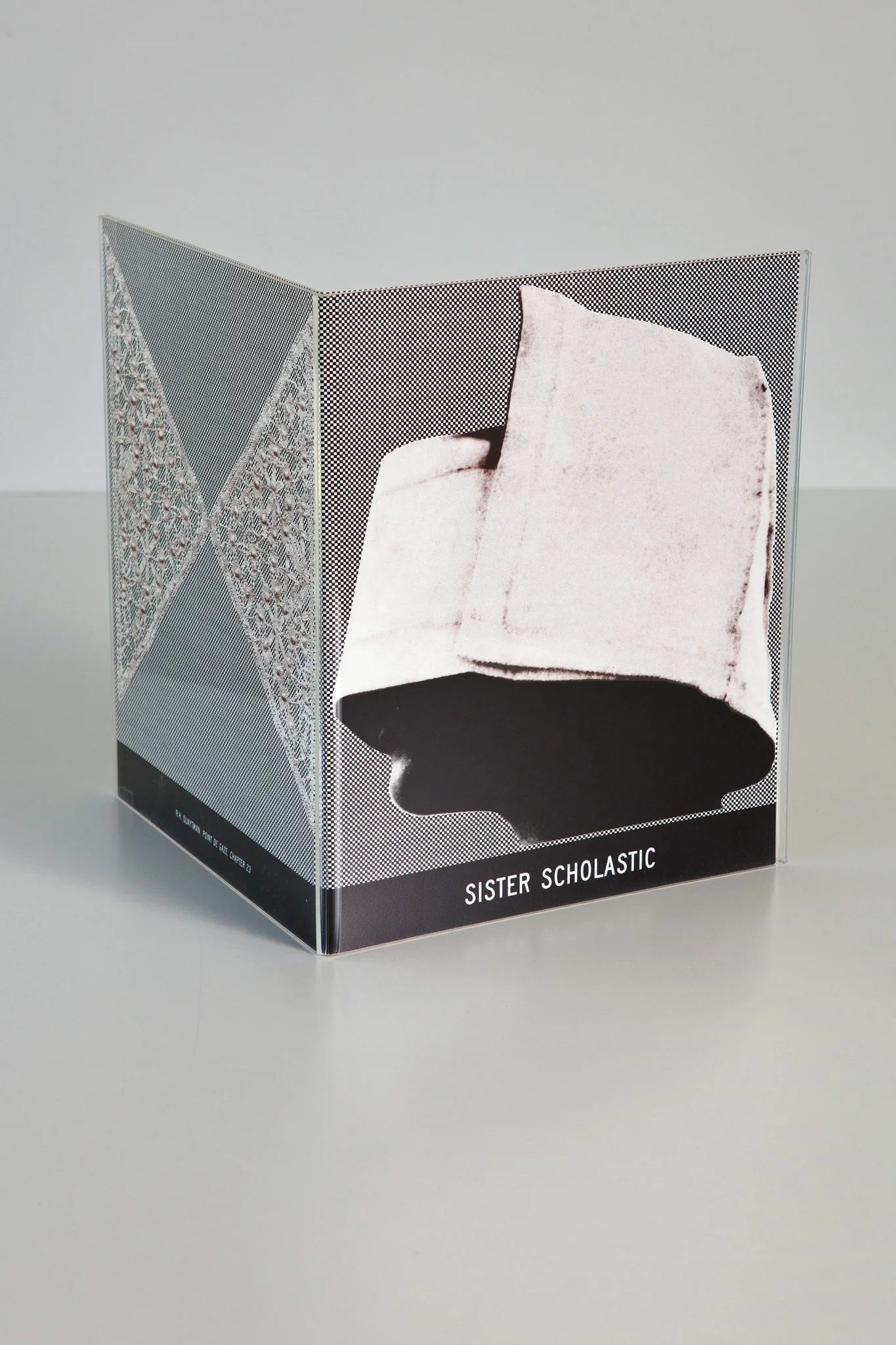 R.H. Quaytman: Point De Gaze, Chapter 23 Print - Image 4