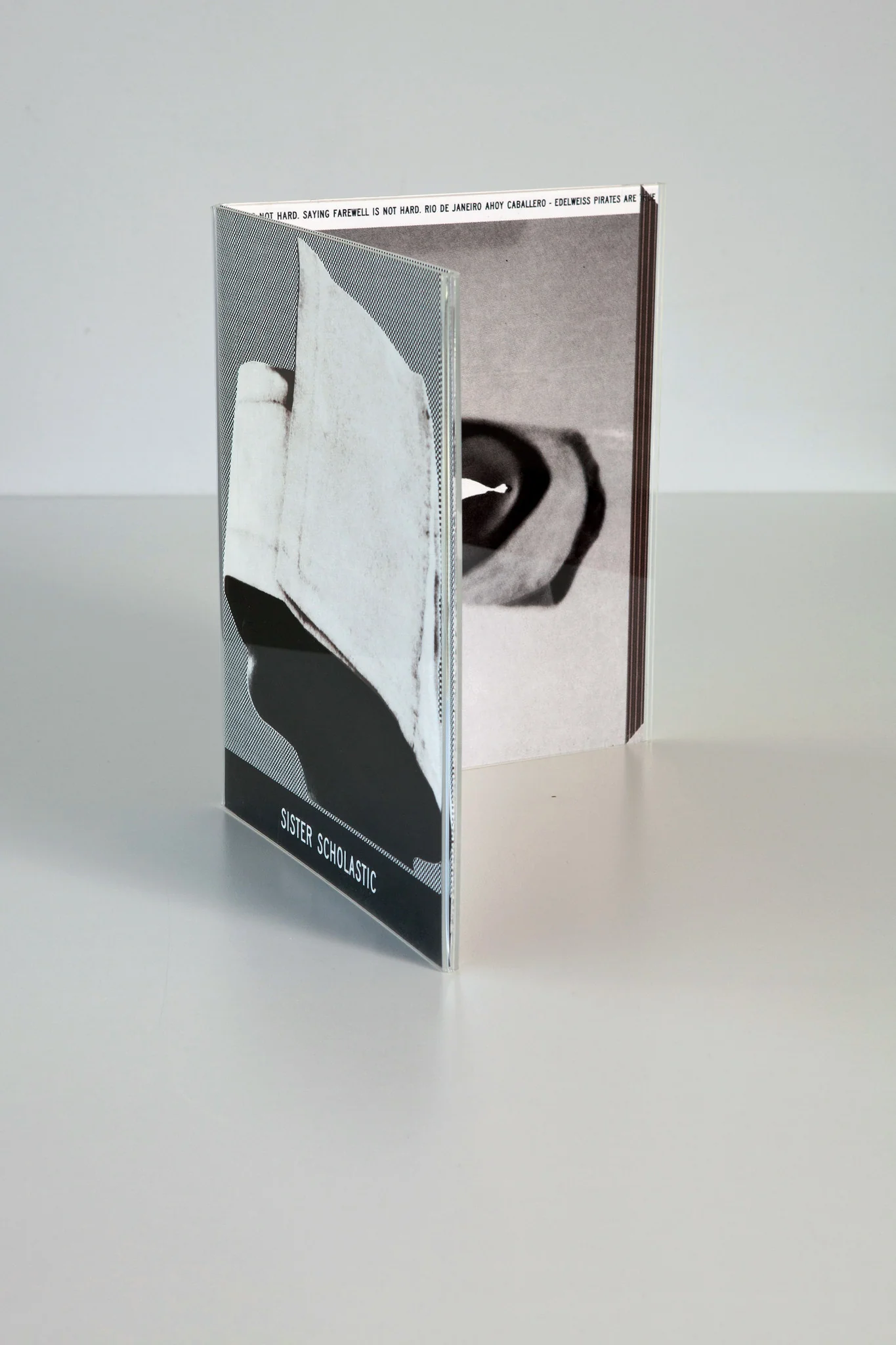 R.H. Quaytman: Point De Gaze, Chapter 23 Print - Image 5