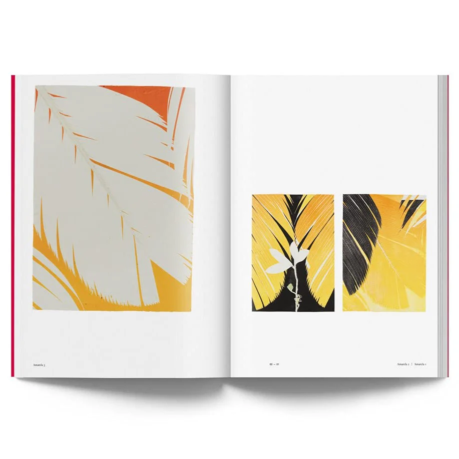 Luiz Zerbini: Botanica - Image 3