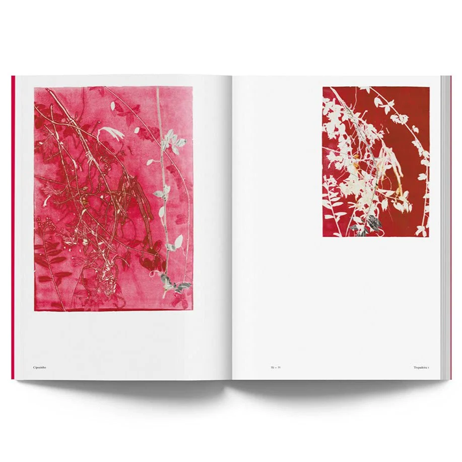 Luiz Zerbini: Botanica - Image 4